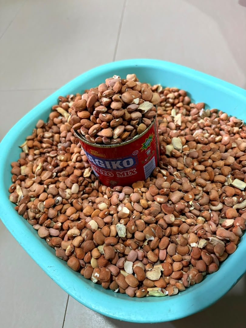 Brown beans Repost